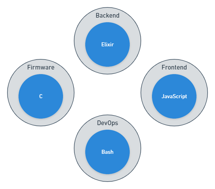 Chart showing examples of development types with typical languages associated. Firmware and C. Backend and Elixir. Frontend and JavaScript. DevOps and Bash.