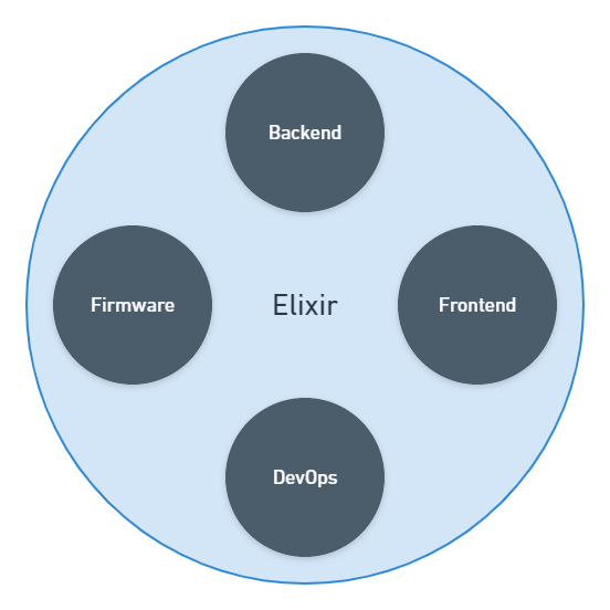 Chart showing examples of development types all grouped under Elixir. Firmware, Backend, Frontend and DevOps. All in Elixir.