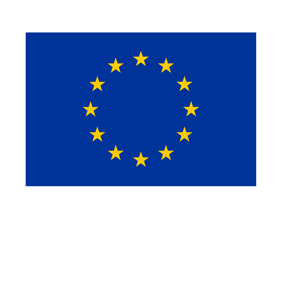 Co-funded by the European Union